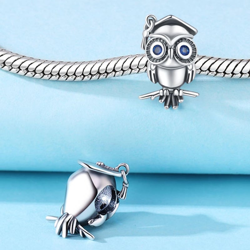 CYCUFF Store 925 Sterling Silver Charms Suitable for Charm Necklaces, Bracelet Pendants Beads Jewellery Gift for Women Family Friends - Image 2